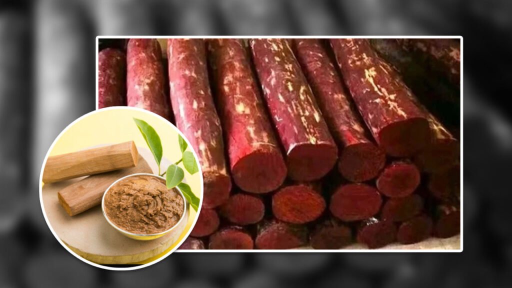 chandan sheti,
sandalwood farming
chandan sheti kashi kartat