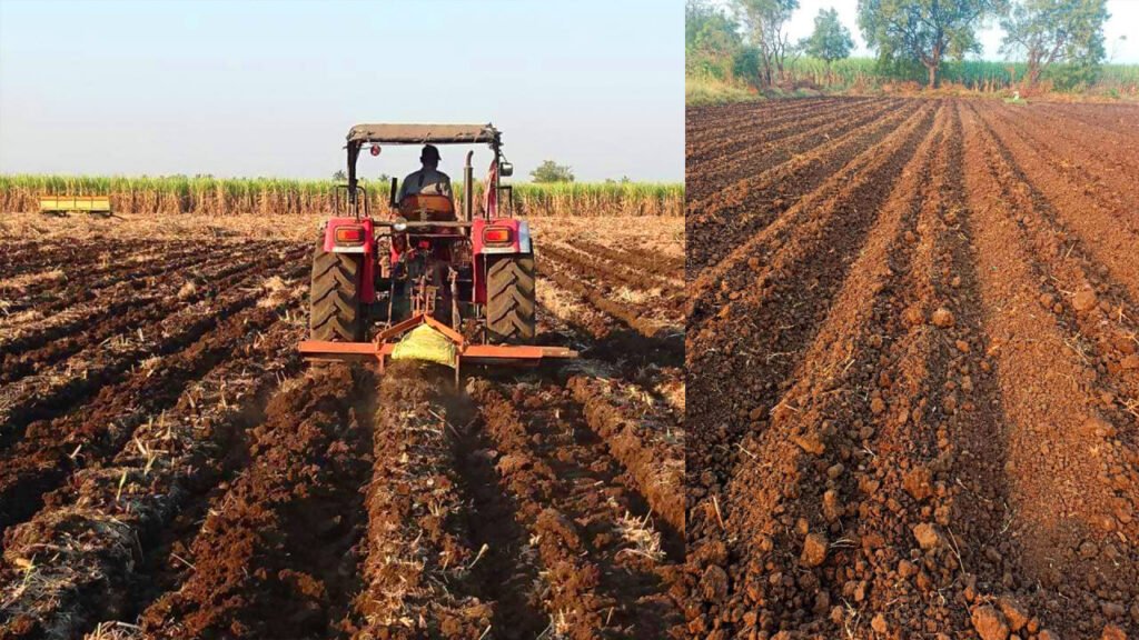 sugarcane farming,sugarcane farming in india,sugarcane,sugarcane farm,farming,sugarcane cultivation,minecraft sugarcane farm,sugar cane farming,sugarcane harvesting,sugarcane farming guide,urban sugarcane farming,sugarcane farming video,sugarcane farm minecraft,sugarcane planting methods,minecraft bedrock sugarcane farm,sugarcane planting,sugarcane seed production,#sugarcane farming,sugarcane farm bedrock edition,sugarcane cultivation methods