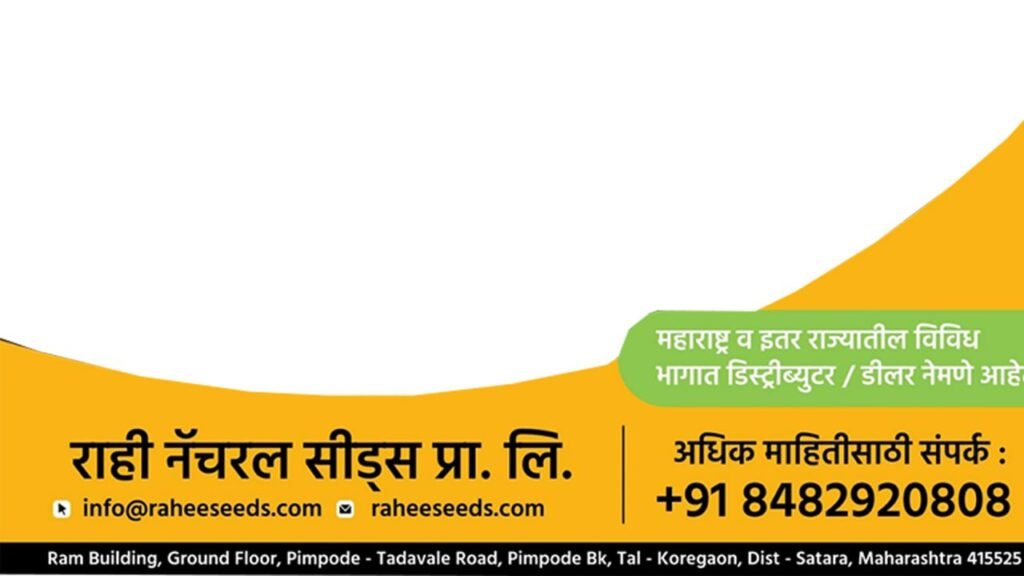 राही सीड्स
rahee seeds,
rahi seeds,
शेतकरी यशोगाथा 
shetkari yashogatha,
farmer success story,
